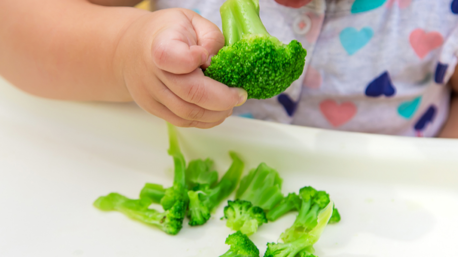 Kinderopvang 